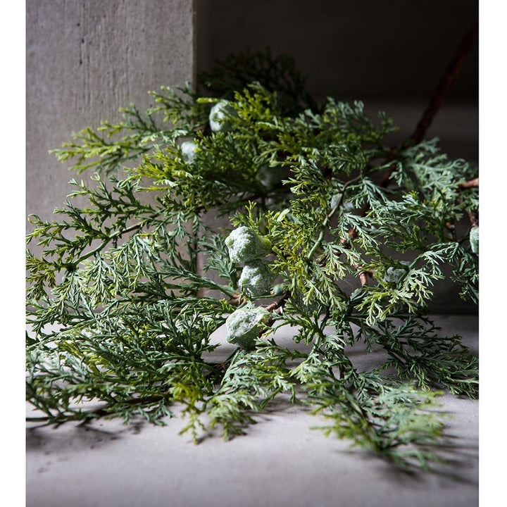Juniper Spray with Berries