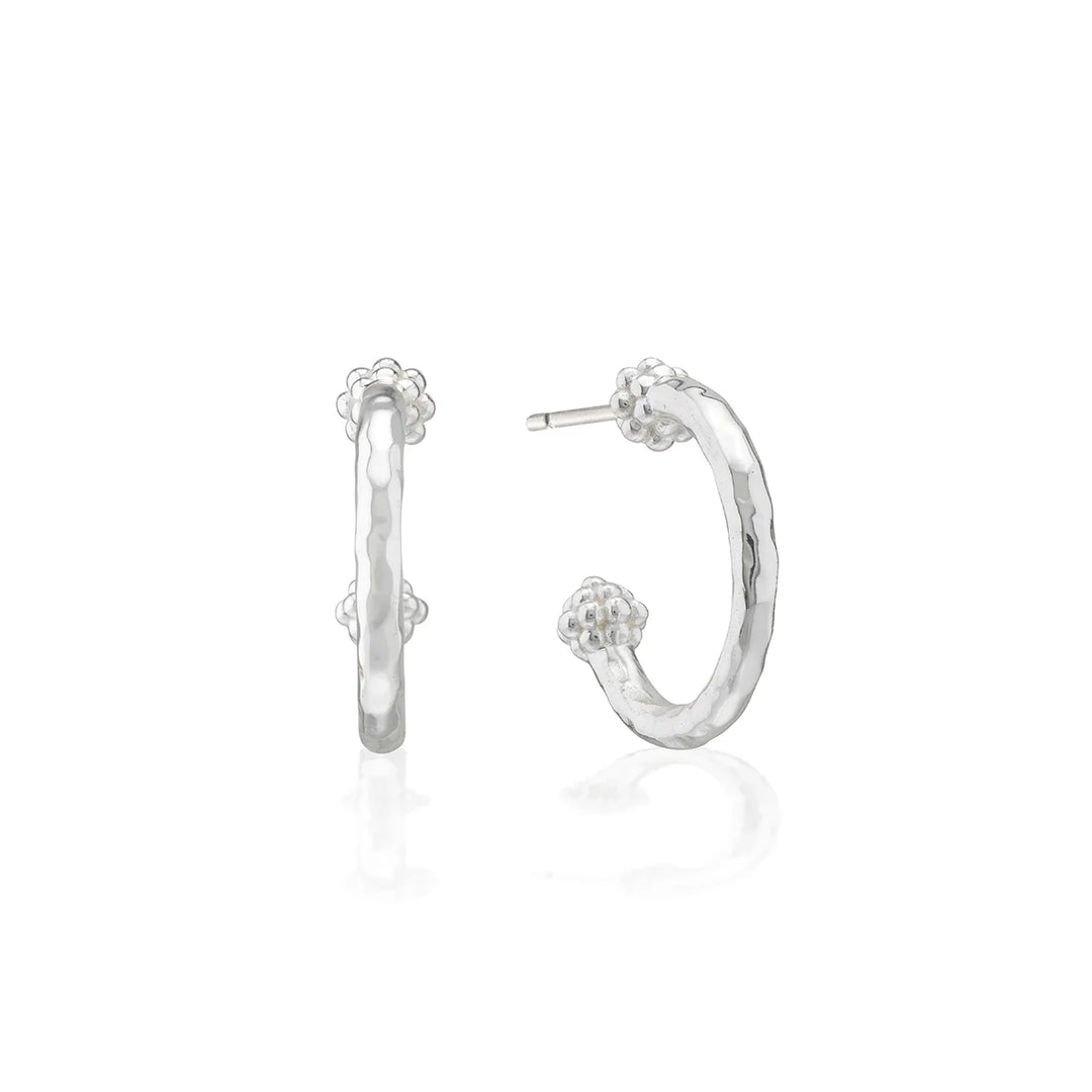 Berry Slice Hoop Earrings