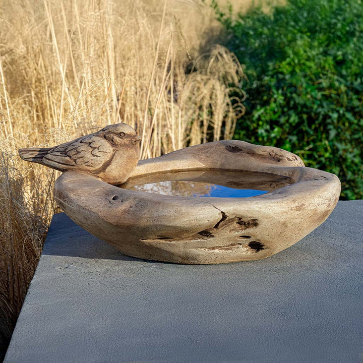 Robin(son) Crusoe Bird Bath