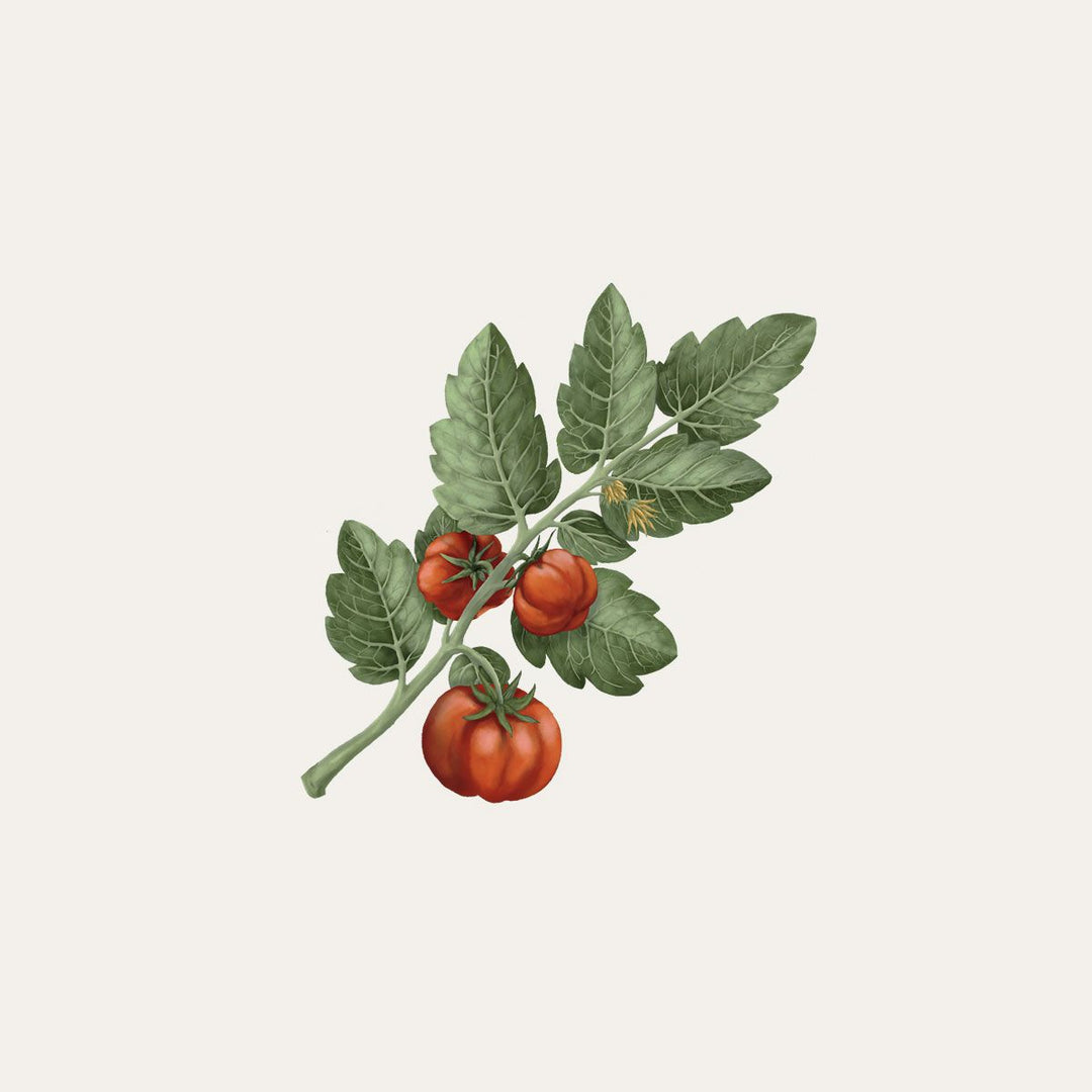 Carrière Frères Botanical Candles | 185g