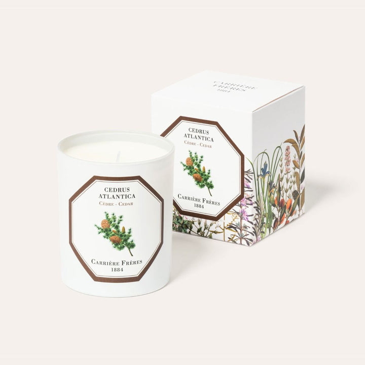 Carrière Frères Botanical Candles | 185g