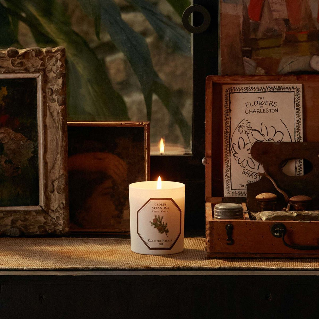 Carrière Frères Botanical Candles | 185g