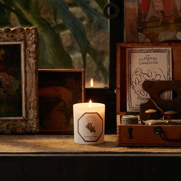 Carrière Frères Botanical Candles | 185g