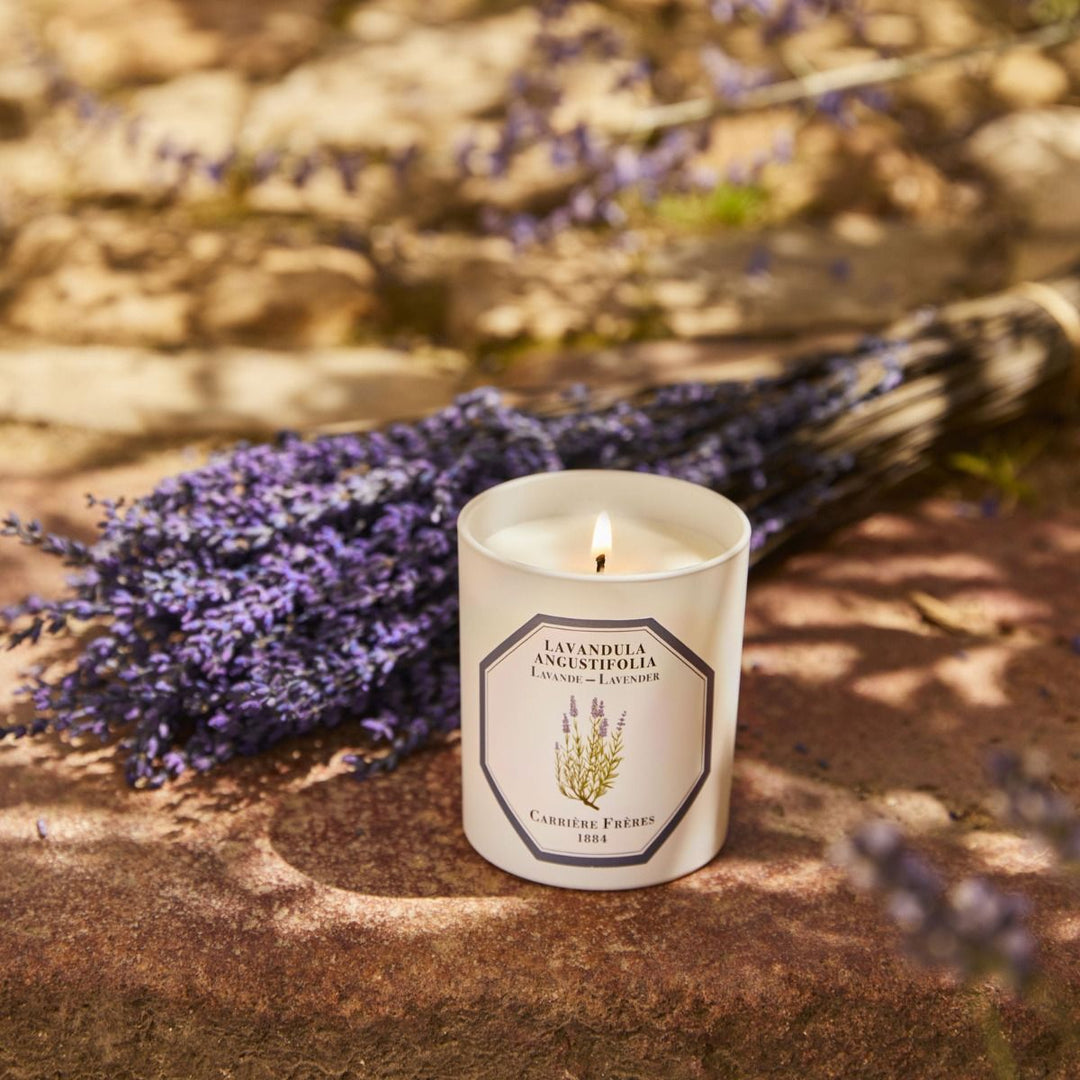 Carrière Frères Botanical Candles | 185g