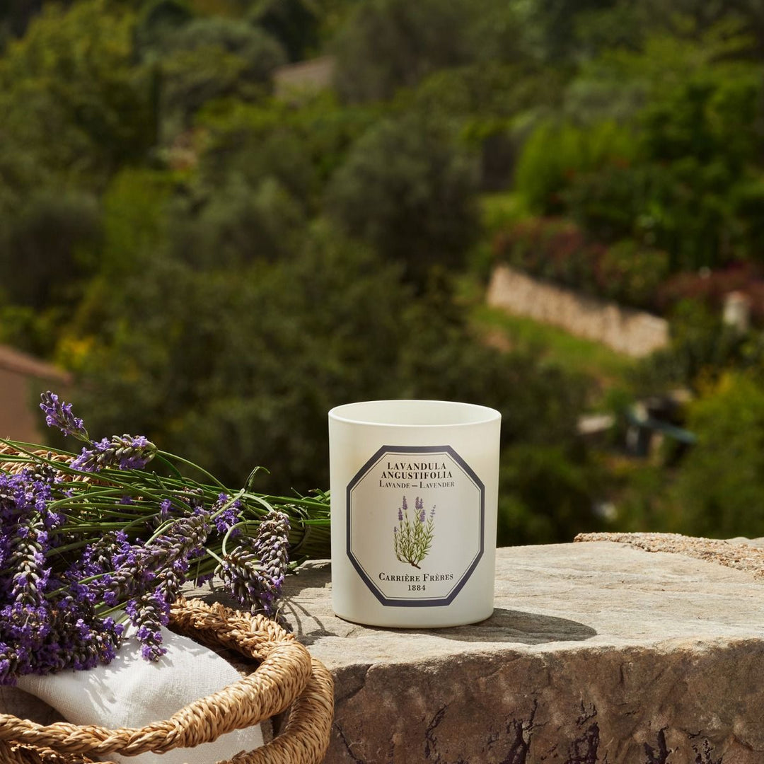 Carrière Frères Botanical Candles | 185g