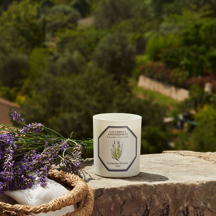 Carrière Frères Botanical Candles | 185g