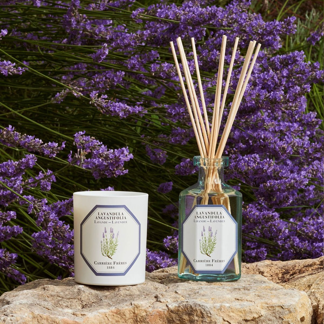 Carrière Frères Botanical Candles | 185g