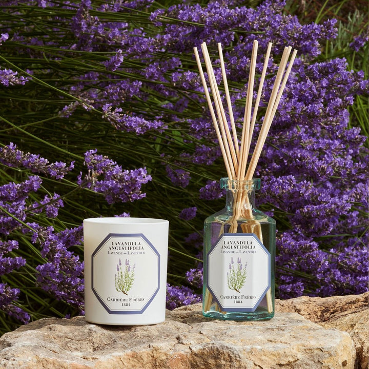 Carrière Frères Botanical Candles | 185g