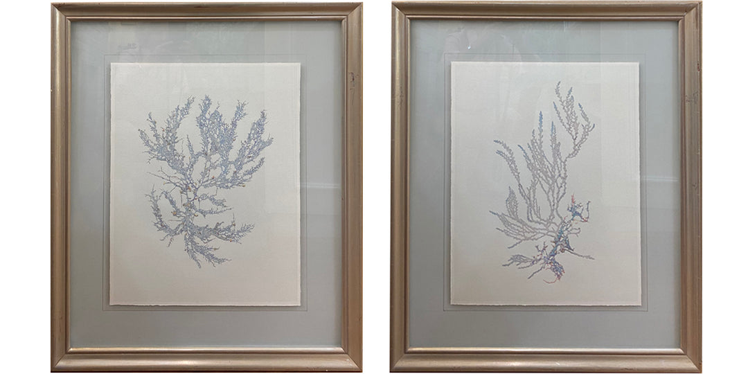 Pair of Giclee Prints "Solarized Seaweed"