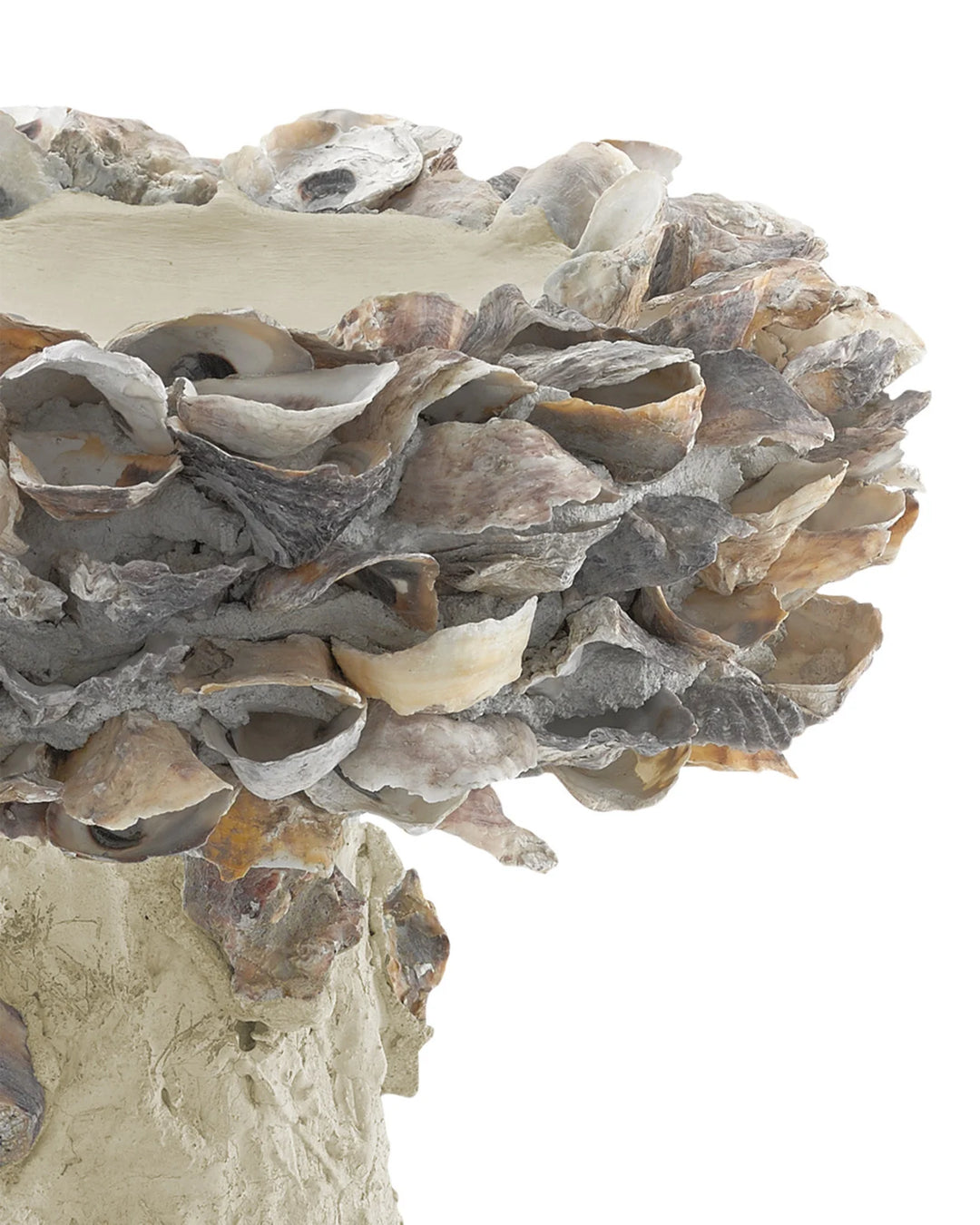 Oyster Shell Bird Bath