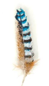 Eurasian Feather Brooch