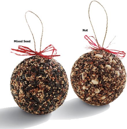 Seed or Nut Ornament