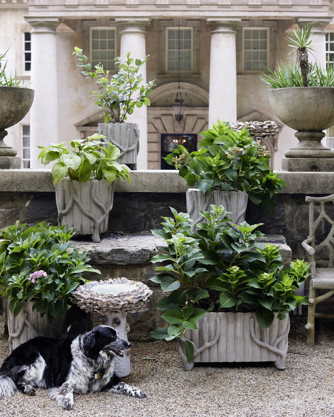 Oyster Shell Bird Bath