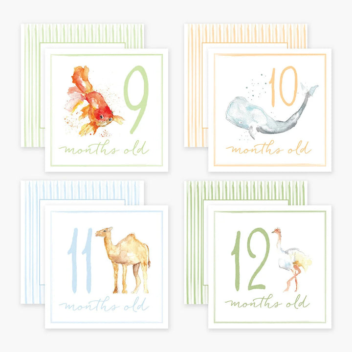 "Littles" Milestone Cards