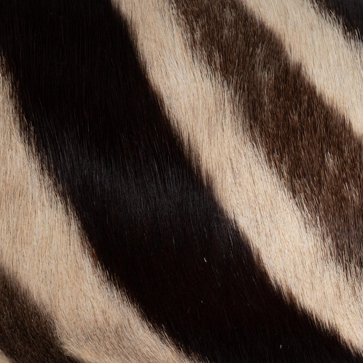 Pillow - Zebra Hide Lumbar