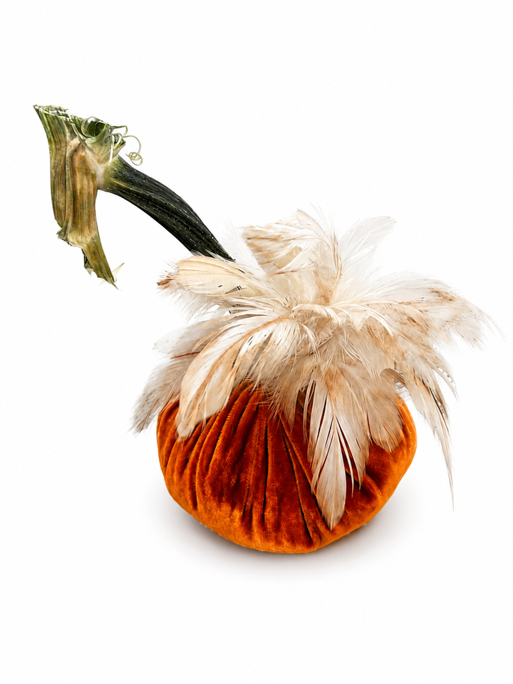 Velvet Pumpkin with Feather Collar
