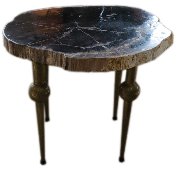 Petrified Wood Occasional Table