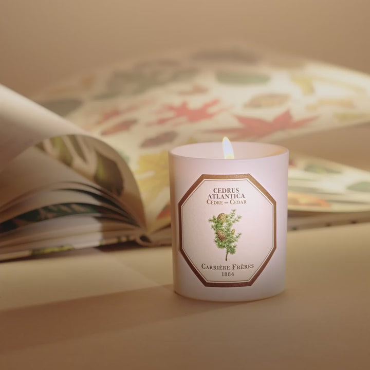 Carrière Frères Botanical Candles | 185g