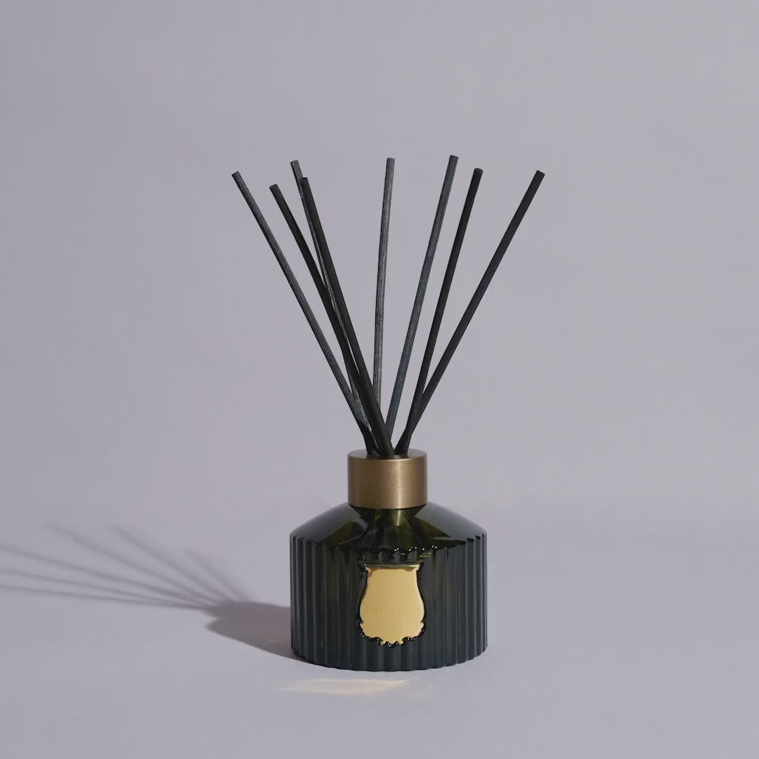 Cire Trudon Diffuser