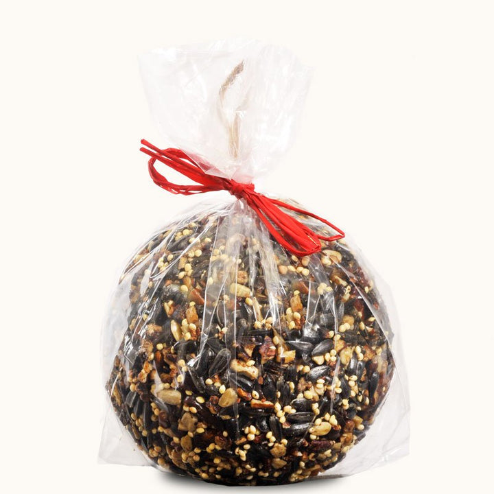 Seed or Nut Ornament