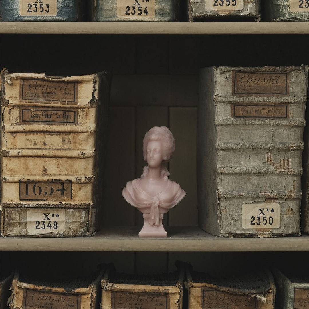 Bust of Marie Antoinette