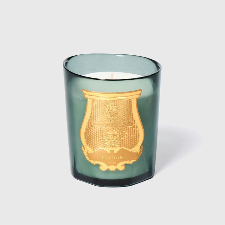 Cire Trudon Candle - "Classique"